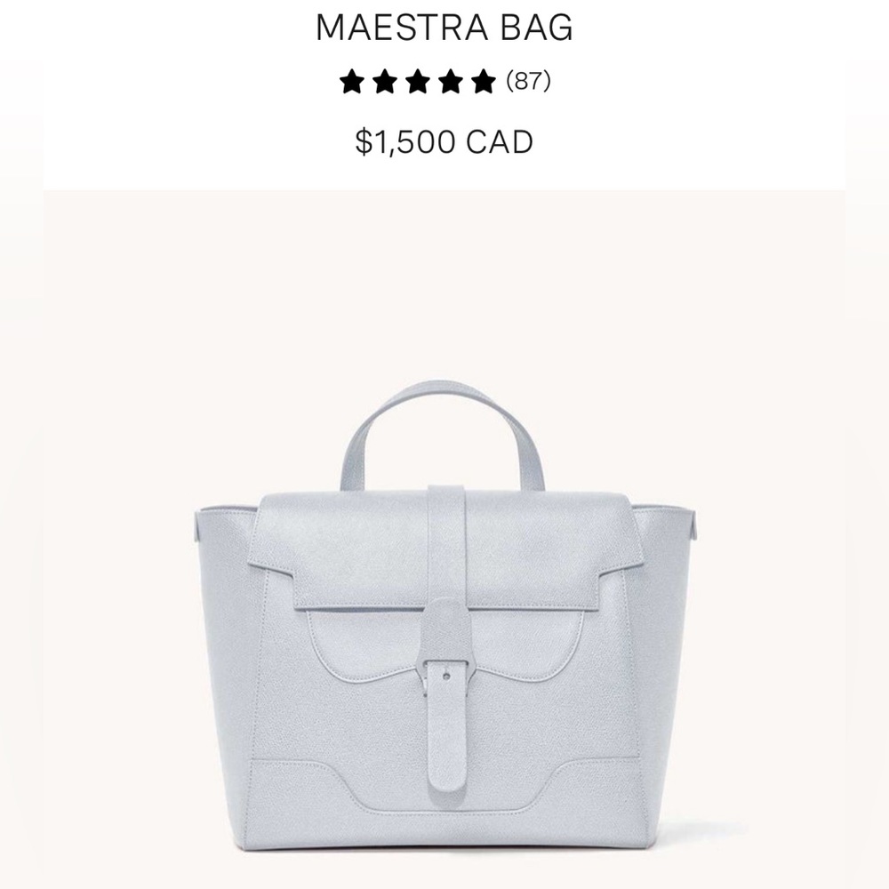 SENREVE Maestra bag in Pebbled Ice - like new